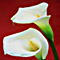 easter hymns