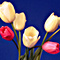 Easter Colors