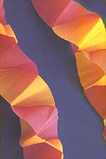 paper garland