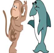 Monkey and the dolphin