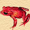 Frogs