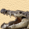 Crocodiles