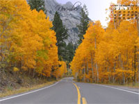 November
