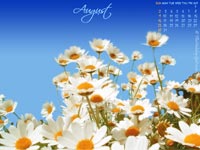 August