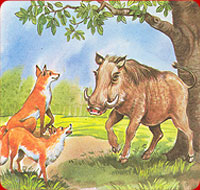 the boar and the foxes