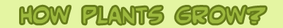 Plants-Grow