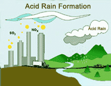 Acid Rain Photos