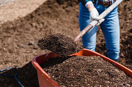 Social Study - Organic Fertilizer and Compost Manure Creation Methods