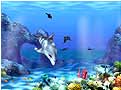 Living 3D Dolphins