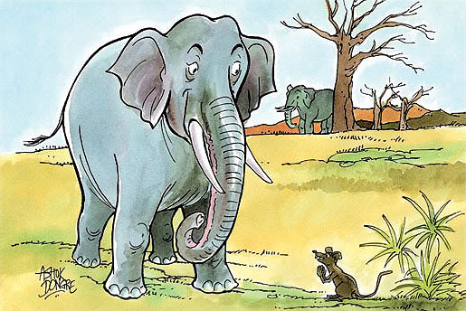 The little mouse and the big elephants