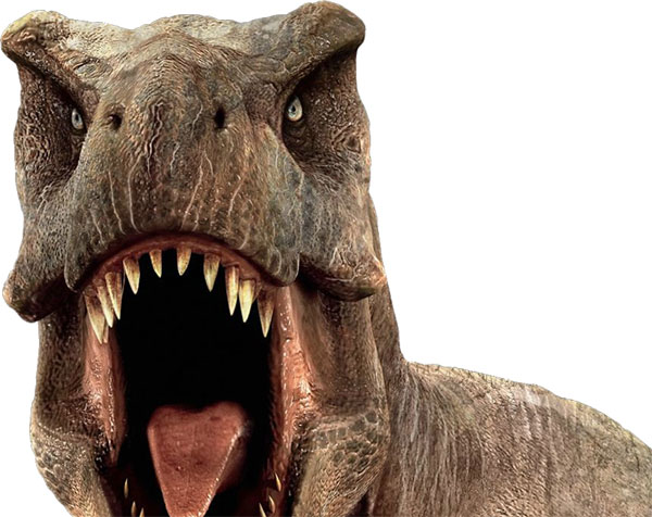 Prominant nostrils of T. rex