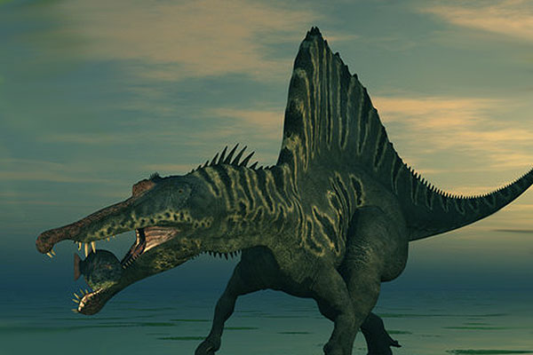 Spinosaurus fishing