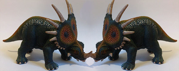 Styracosauruses