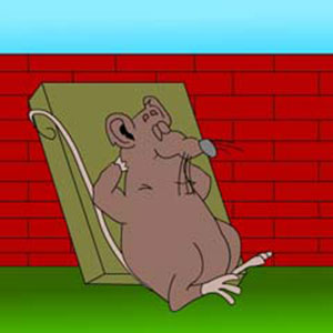 The lazy rat Micky