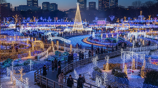 Dusk scene of a large-scale Christmas light show in Japan, dominated by cool blue and brilliant white LED lights, with warmer golden accents, covering vast landscaped areas and drawing numerous spectators.