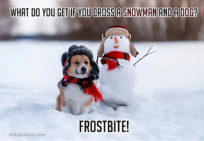 Funny Christmas jokes for kids on Snowman and Dog