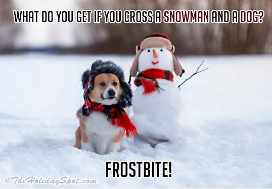 Funny Christmas joke on Snowman and Dog
