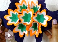 Indian Flag, India vandemataram & Independence Day - a video