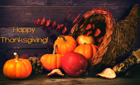 Happy Thanksgiving Wallpaper 4K, Pumpkins, Thanksgiving Day