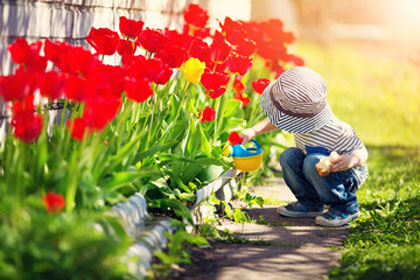 A little kid busy on gardening