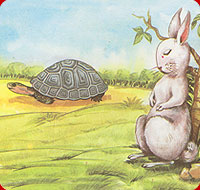 tortoise passing by the sleeping hare