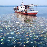 Sea Pollutants