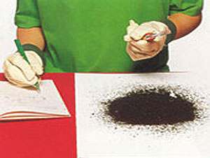 Science Project - What is Soil?