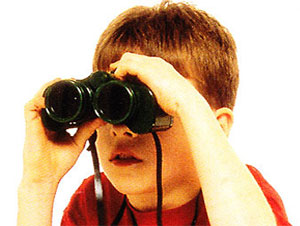 School Science Project for students - Bird Watching