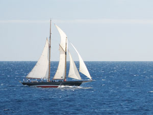 Social Study School Project - Conservation of Sea