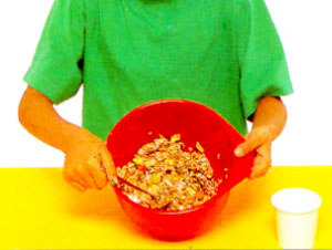 Science Project for School - Feed The Birds