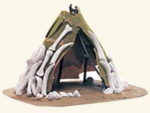 Social Study School Project for kids - Hunter's Home