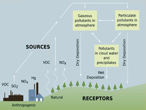 Social Study School Project for kids and students - Acid Rain
