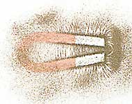 magnetic field of the horseshoe magnet