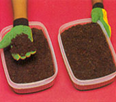 filling containers with dry soil