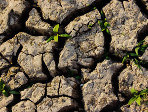 Resistances that an SLM initiative can face