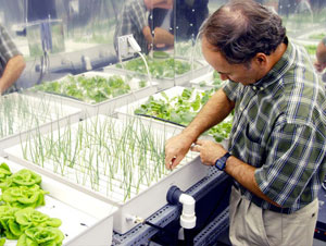 Hydroponics