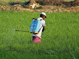 Integrated Pest Management