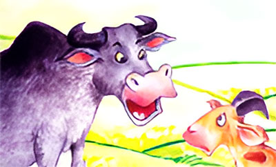 A Long-suffering Bull - animal story