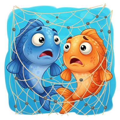 Causes of War - an animal story