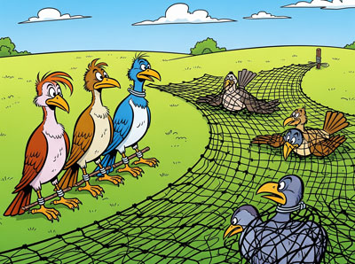 Don't Expect Everyone to be A Friend - animal story