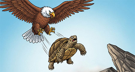 The Tortoise Who Wanted to Fly - animal story