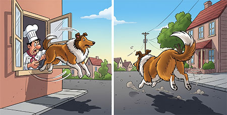 The Unfortunate Guest - animal story