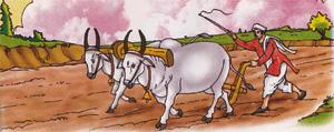 the farmer with his two healthy oxen