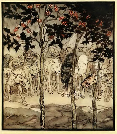 the enchanted cave of cesh corran