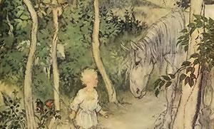 The Boyhood of Fionn - Irish Fairy Tales